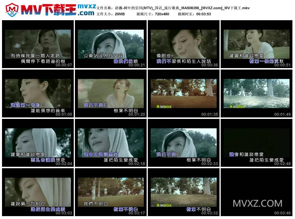 赵薇-树叶的崇拜(MTV)_国语_流行歌曲_MA508356